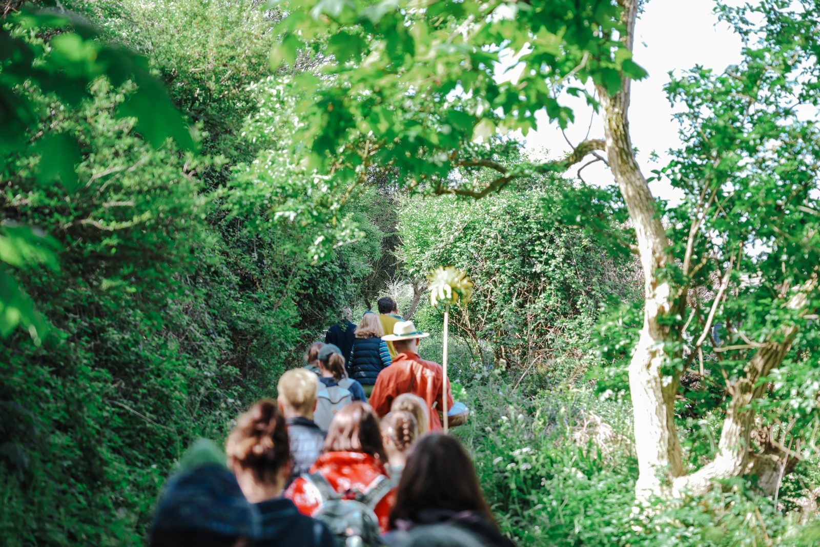 Following the green lanes into the hedgerows.